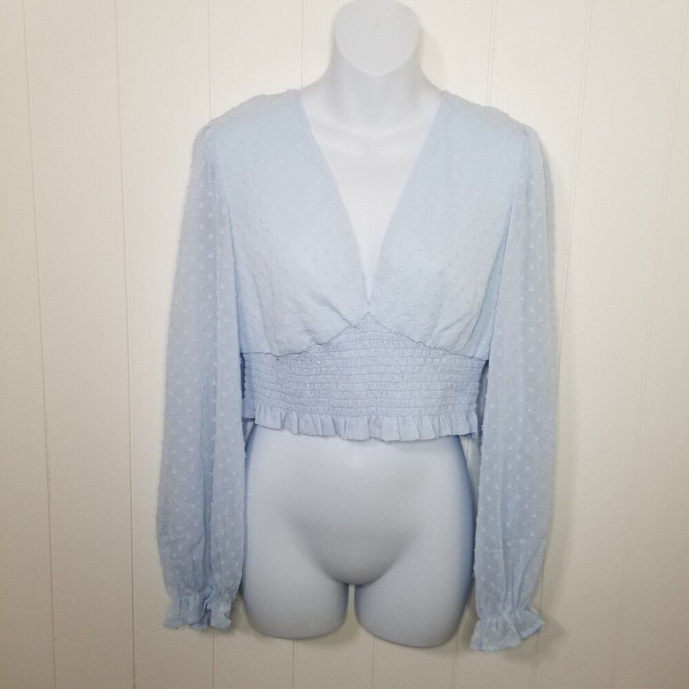 Women's Cropped Blue Sheer Balloon Sleeve Top